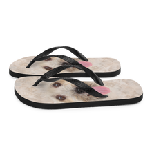 Bichon Havanese Dog Flip-Flops by Design Express