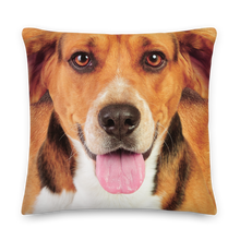 Beagle Dog Premium Pillow by Design Express