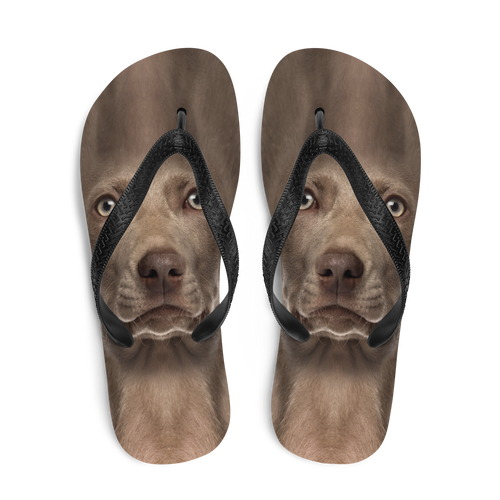 Weimaraner Dog Flip-Flops by Design Express
