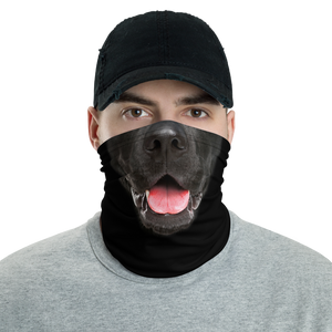 Default Title Labrador Dog Neck Gaiter Masks by Design Express