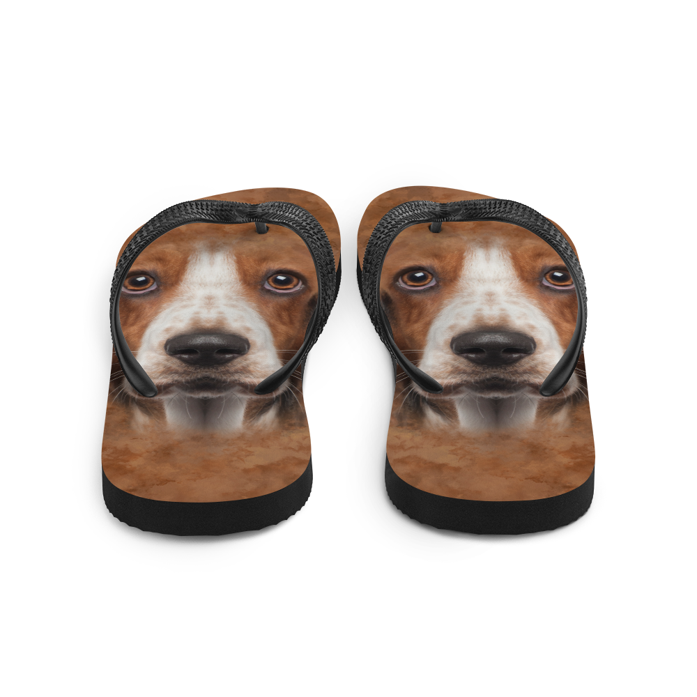 Basset Hound Dog Flip-Flops – Design Express - Main Image