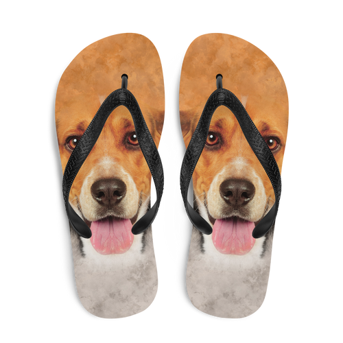 Beagle Dog Flip-Flops by Design Express