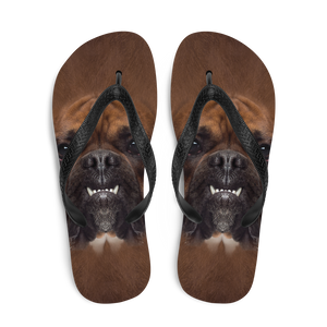 Boxer Dog Flip-Flops by Design Express