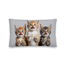 Funny Tripple Cats Premium Pillow