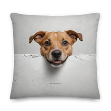 Smile Dog Peep Premium Pillow