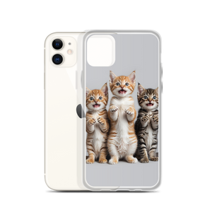 Funny Tripple Cats iPhone Case