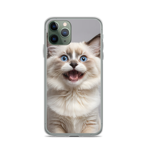 Ragdoll Kitten iPhone Case