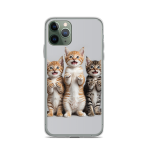 Funny Tripple Cats iPhone Case