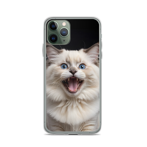 Angry Ragdoll Kitten iPhone Case