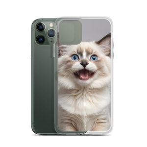 Ragdoll Kitten iPhone Case