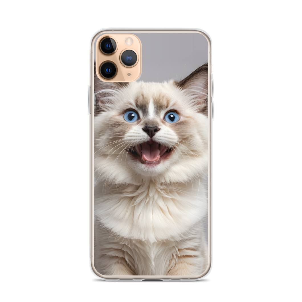 Ragdoll Kitten iPhone Case