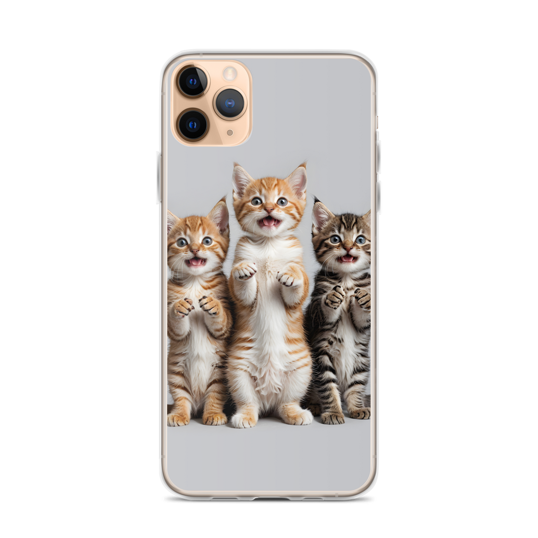 Funny Tripple Cats iPhone Case