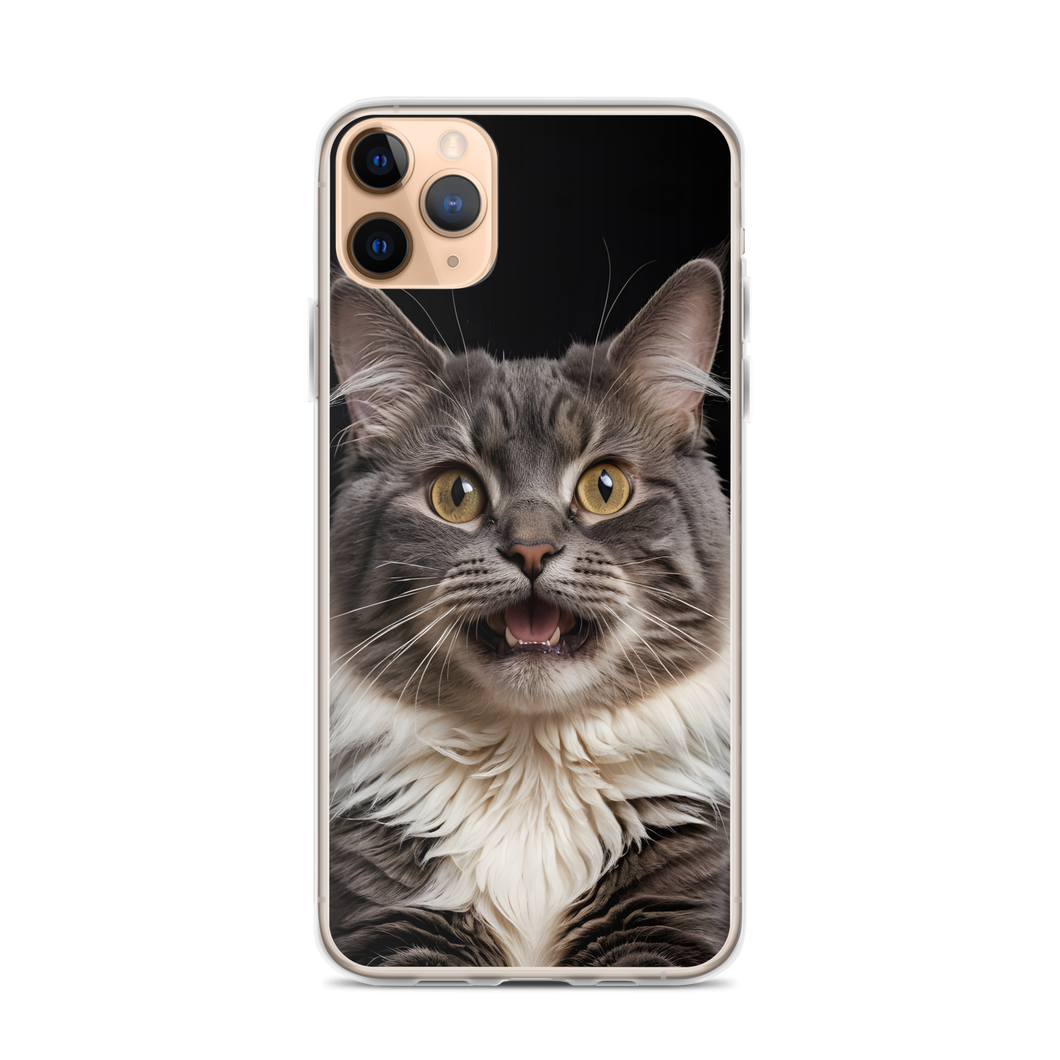 Shocked Cat Face iPhone Case