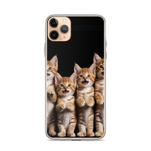 Four Cute Cats iPhone Case