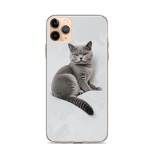 Relaxing British Shorthair Cat iPhone Case