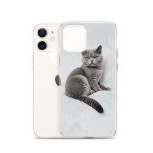 Relaxing British Shorthair Cat iPhone Case