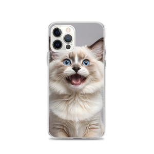 Ragdoll Kitten iPhone Case