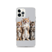 Funny Tripple Cats iPhone Case