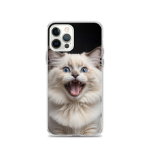 Angry Ragdoll Kitten iPhone Case