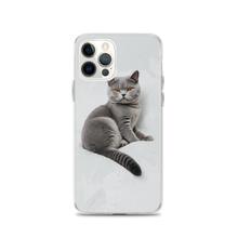 Relaxing British Shorthair Cat iPhone Case