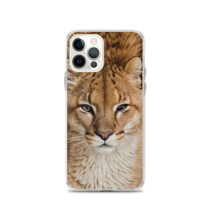 Baby Lion iPhone Case