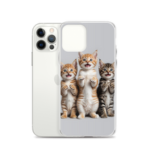 Funny Tripple Cats iPhone Case