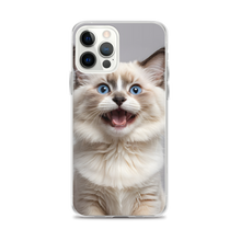 Ragdoll Kitten iPhone Case