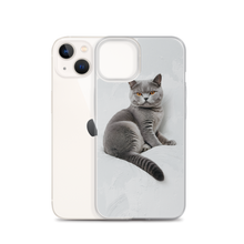 Relaxing British Shorthair Cat iPhone Case