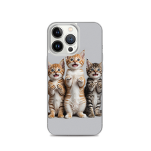 Funny Tripple Cats iPhone Case