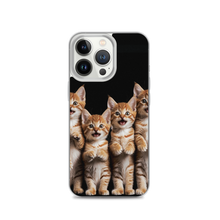 Four Cute Cats iPhone Case