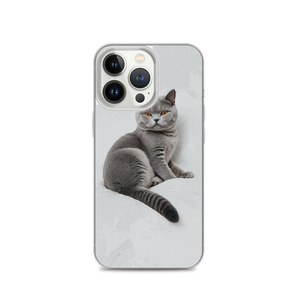 Relaxing British Shorthair Cat iPhone Case