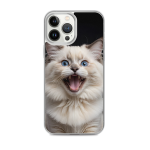 Angry Ragdoll Kitten iPhone Case