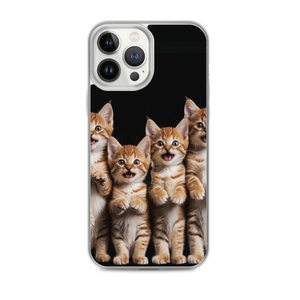 Four Cute Cats iPhone Case