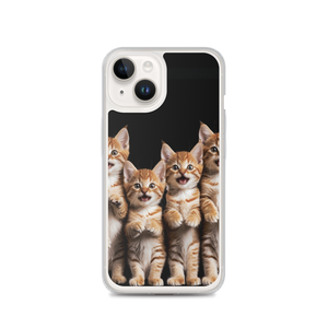 Four Cute Cats iPhone Case