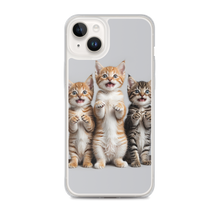 Funny Tripple Cats iPhone Case