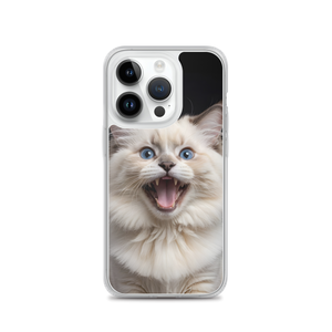 Angry Ragdoll Kitten iPhone Case