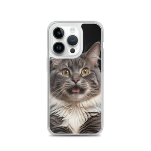 Shocked Cat Face iPhone Case