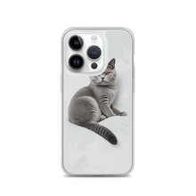 Relaxing British Shorthair Cat iPhone Case