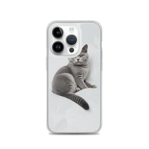 Relaxing British Shorthair Cat iPhone Case