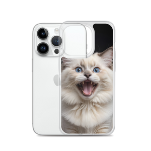 Angry Ragdoll Kitten iPhone Case