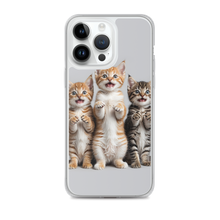 Funny Tripple Cats iPhone Case