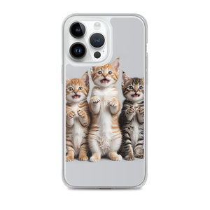 Funny Tripple Cats iPhone Case