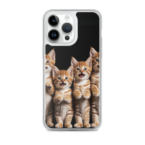 Four Cute Cats iPhone Case