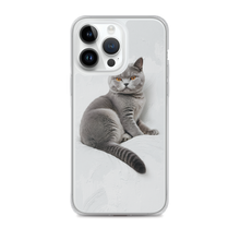 Relaxing British Shorthair Cat iPhone Case