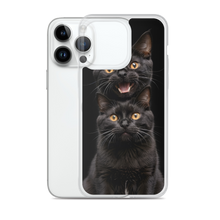 Two Black Cats Follows iPhone Case