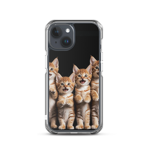 Four Cute Cats iPhone Case