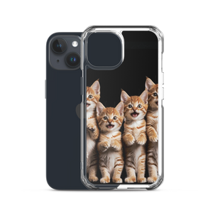 Four Cute Cats iPhone Case