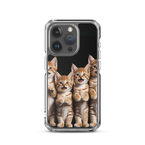 Four Cute Cats iPhone Case