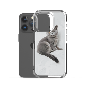 Relaxing British Shorthair Cat iPhone Case