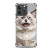 Ragdoll Kitten iPhone Case